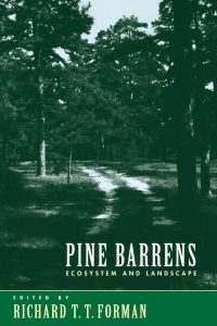 Pine Barrens