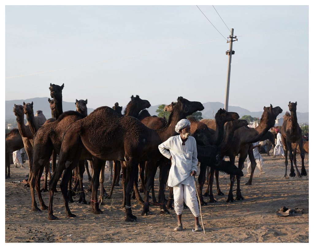 Site in India, courtesy Jose Ahedo