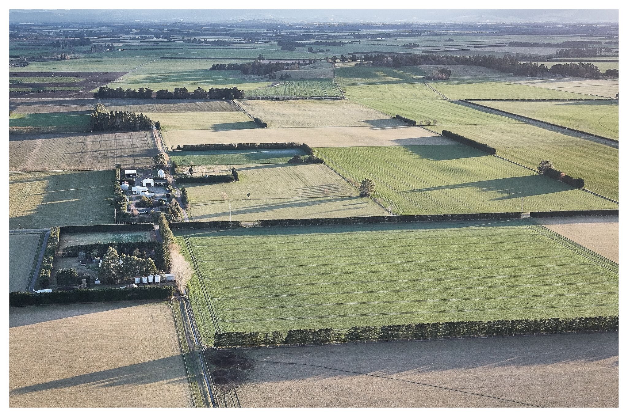 Farmland in New Zealand, courtesy Jose Ahedo