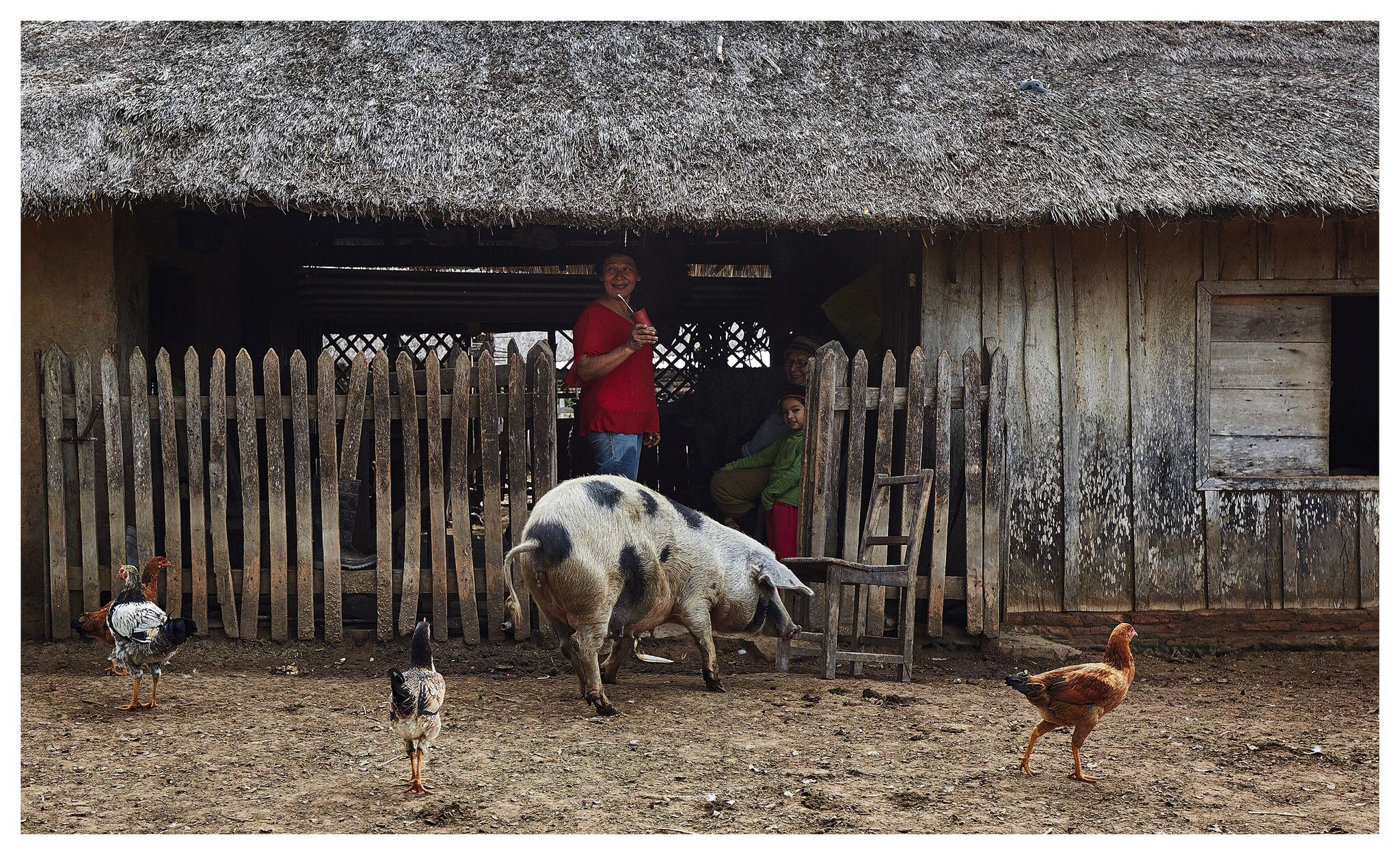 Farm in Paraguay, courtesy Jose Ahedo