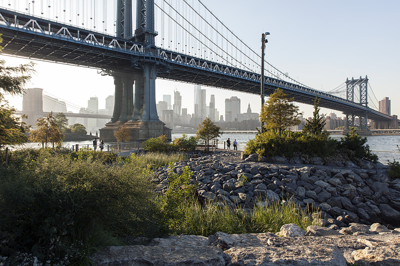 Brooklyn Bridge Park