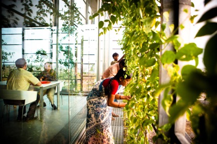 The porous, double-skin façade of the KMC Corporate Headquarters, Hyderabad, acts as both a climate-mitigator and social connector. (c) Carlos Chen
