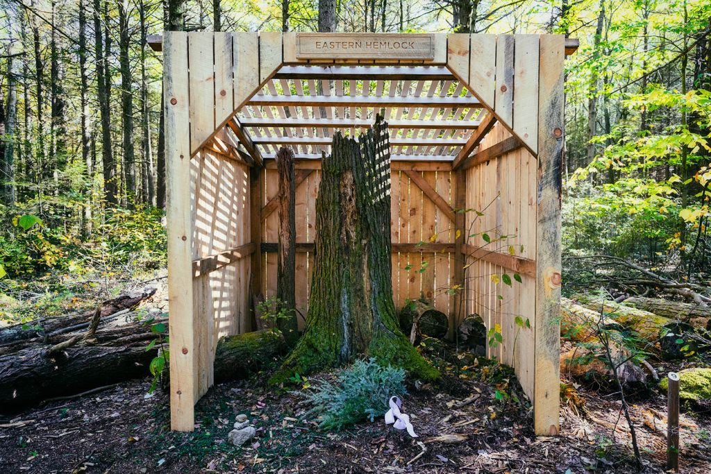 Memorial Woodshed