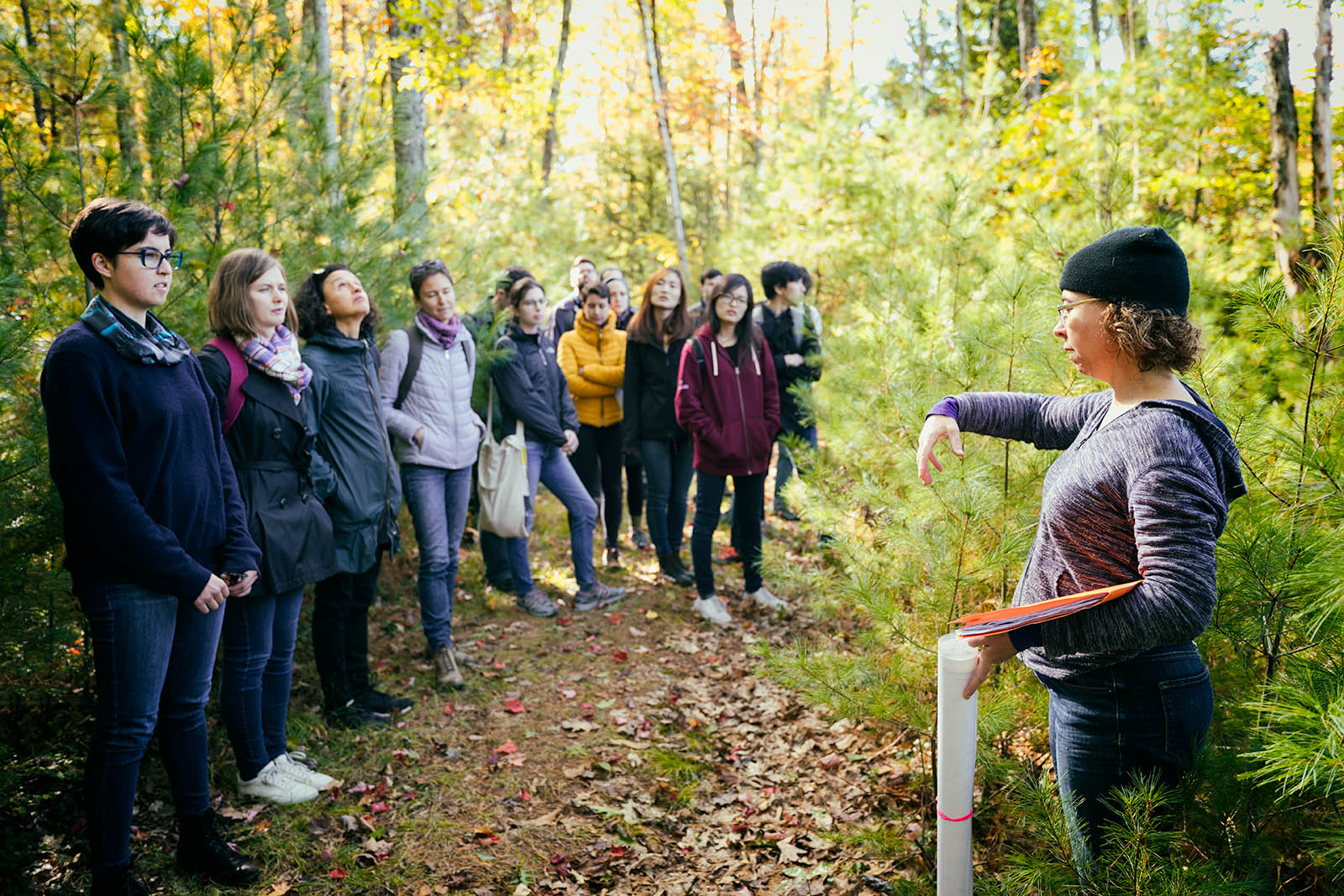 Field trip to Harvard Forest