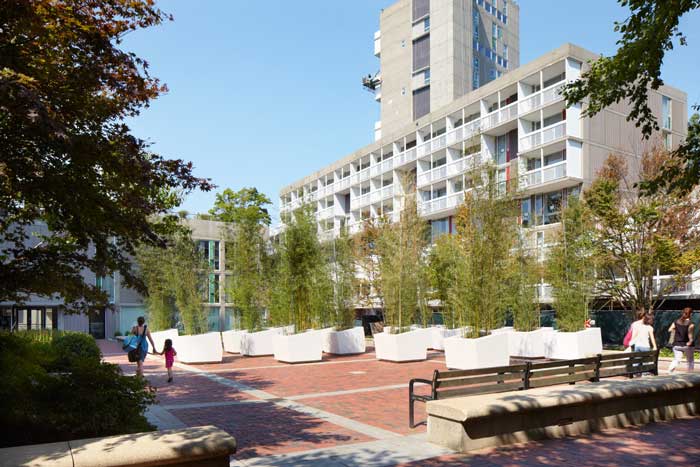 An outside view of a Harvard housing building.