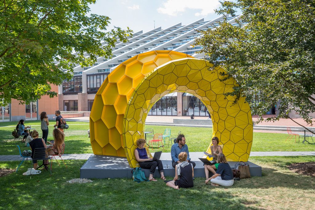 Grid structure build in the backyard of Gund Hall by Andres Svetsuk.