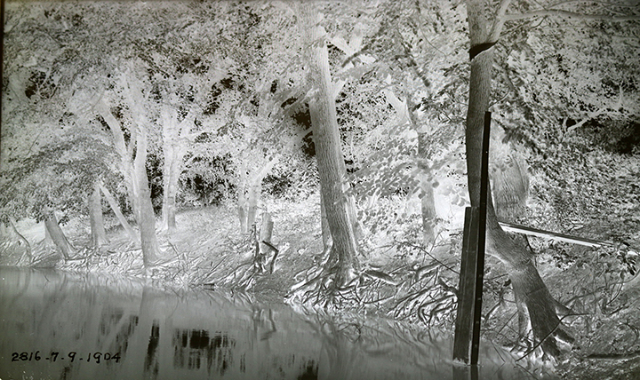 © Illinois State Archives / Metropolitan Water Reclamation District of Greater Chicago