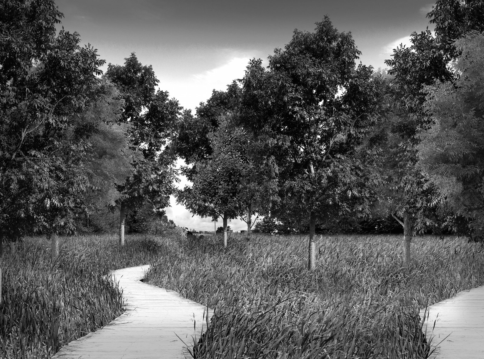 Project image from Stanislas Chaillou's "Our Lady of the Fields," developed for Spring 2017 seminar "Making Sacred Space"