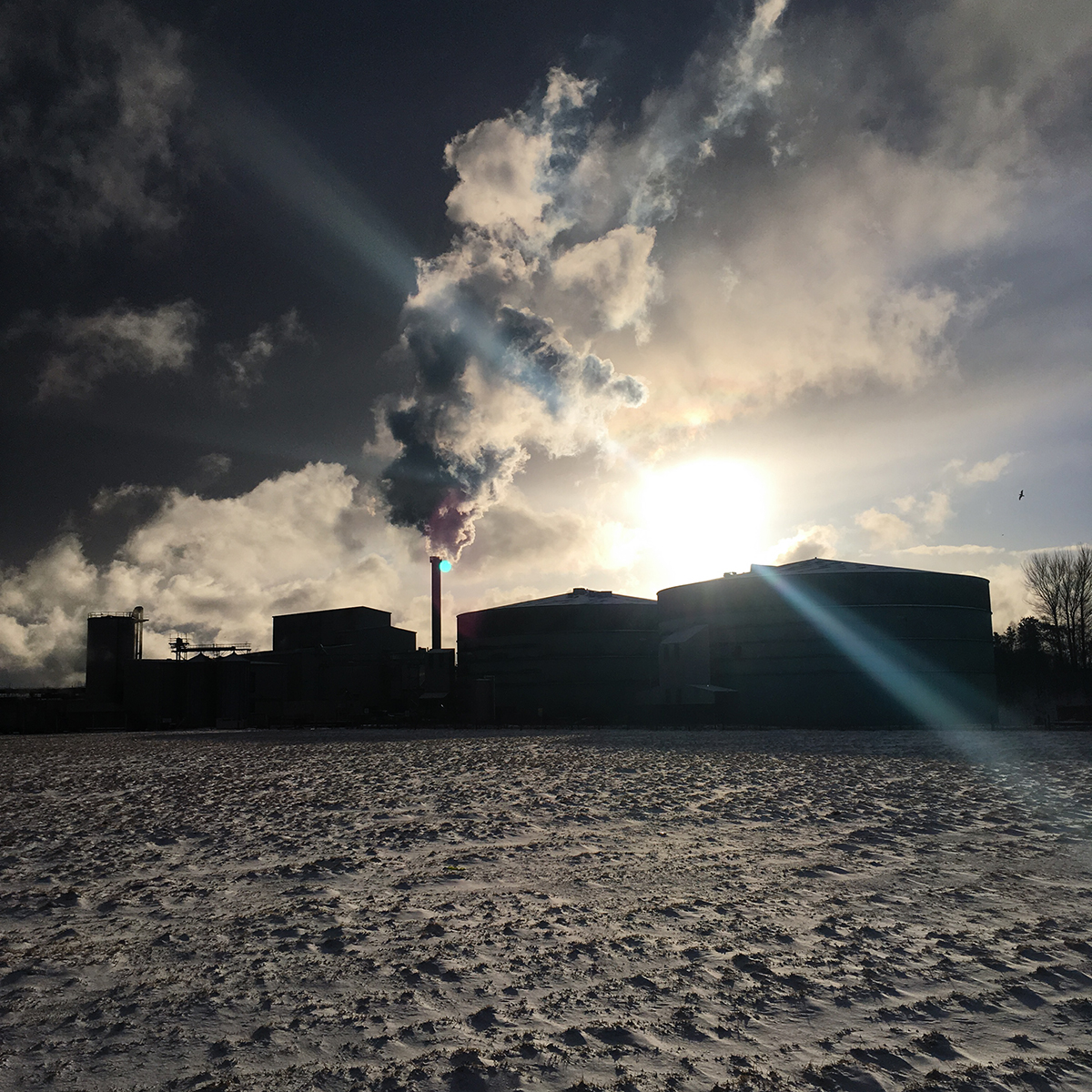 Outside Carbon Dynamic, a factory specializing in Off-Site Manufacturing (OSM).