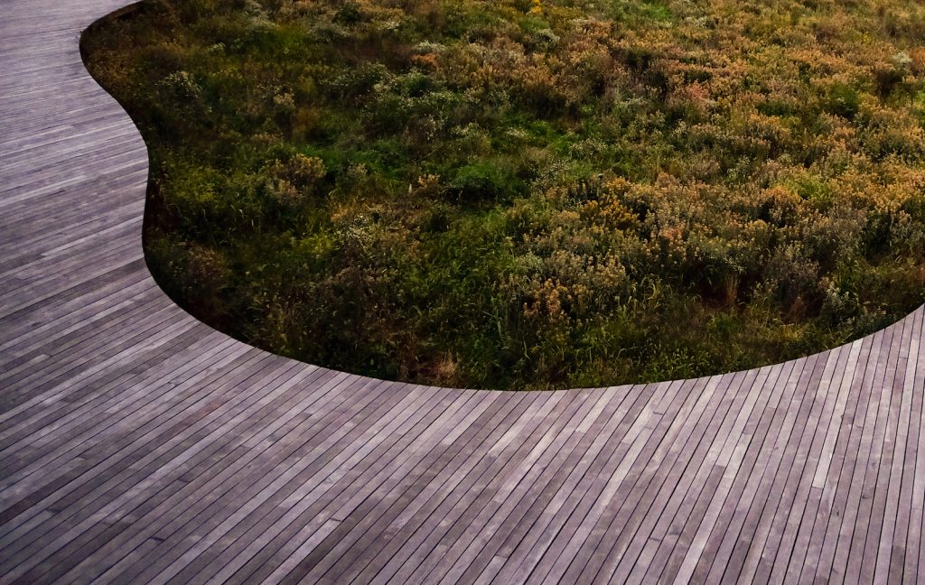 An image of Naval Cemetery Landscape by Nelson Byrd Woltz Landscape Architects. Photo: Max Touhey. Thomas Woltz presents a lecture at the GSD on November 8.