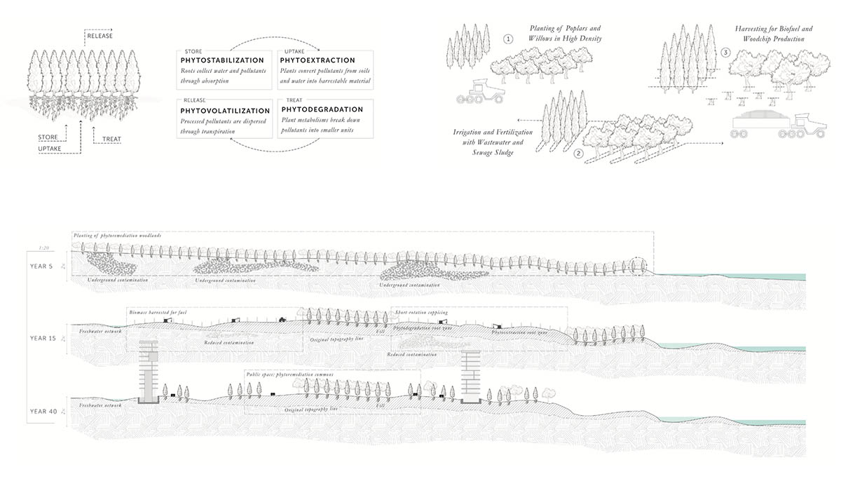 Symbiotic Infrastructure 6