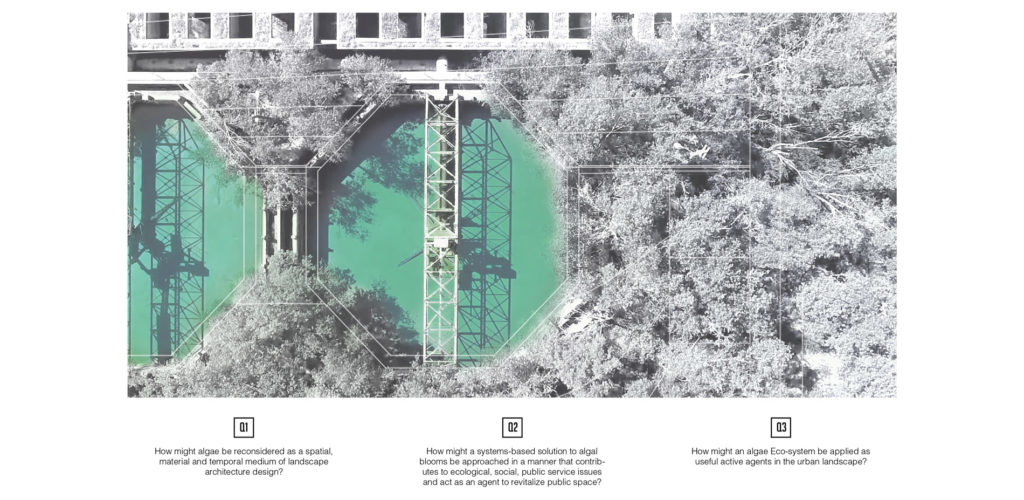 Bloom! A Dynamic Landscape Biological System.