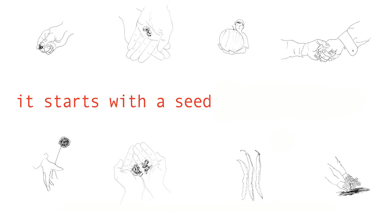 It Starts with a Seed 16