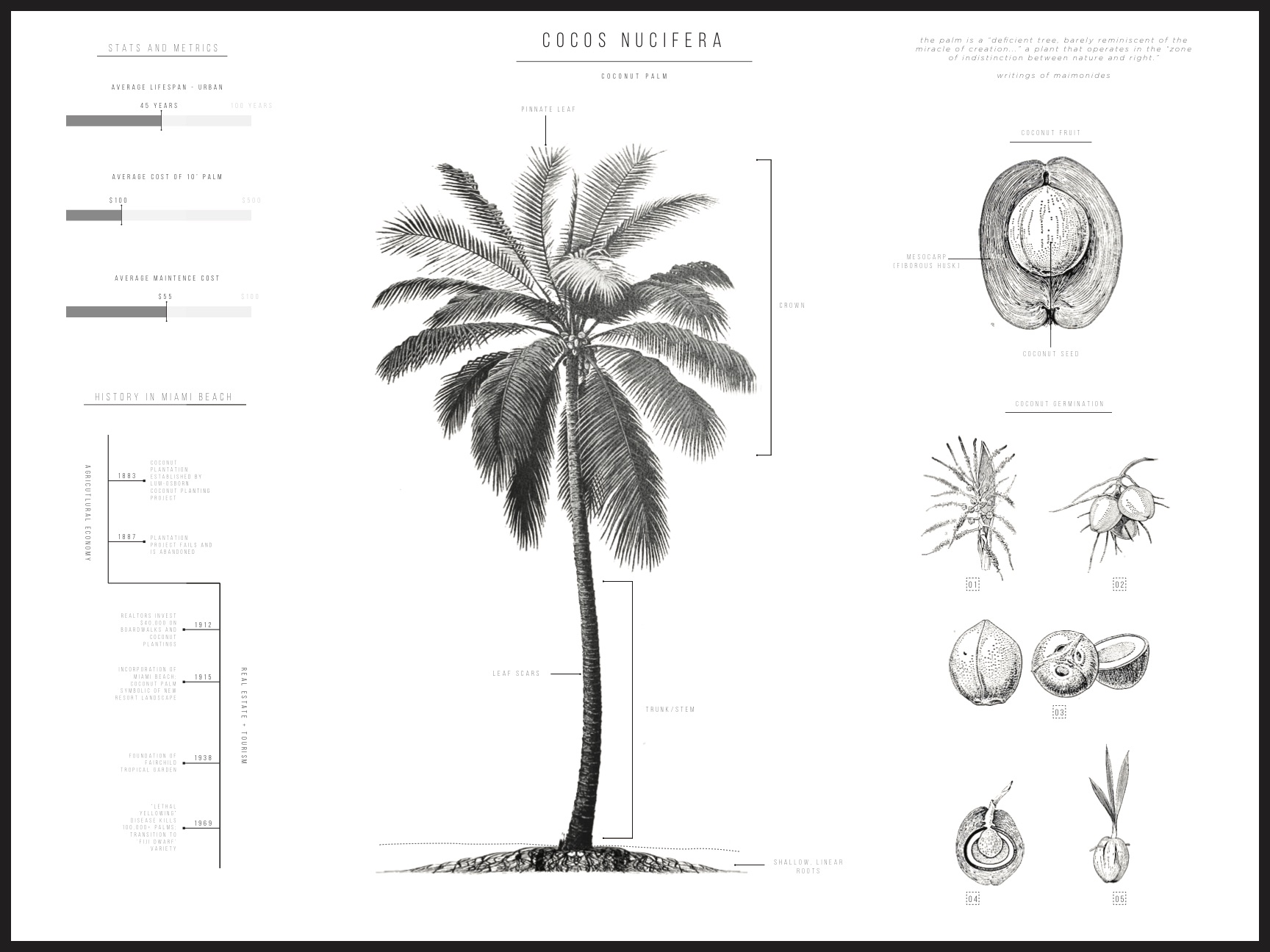 Palm Diagram
