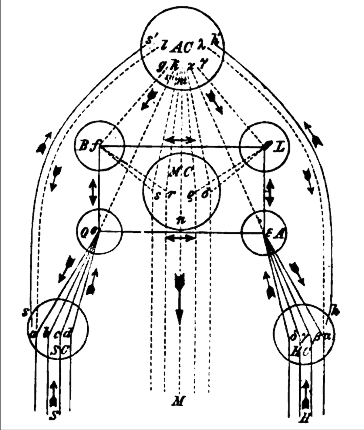 Apperception Schema