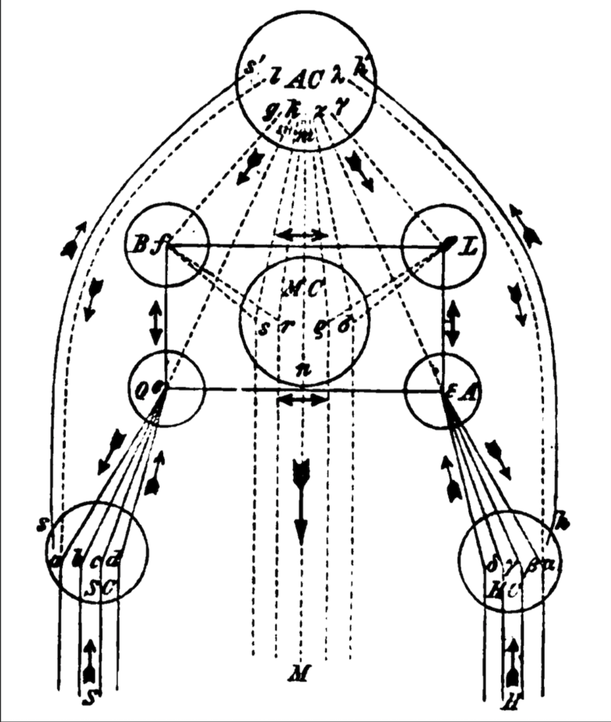 Apperception Schema