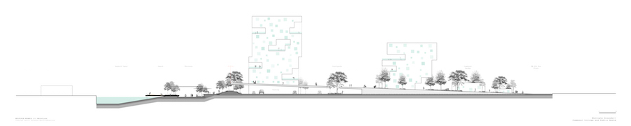 Site Section