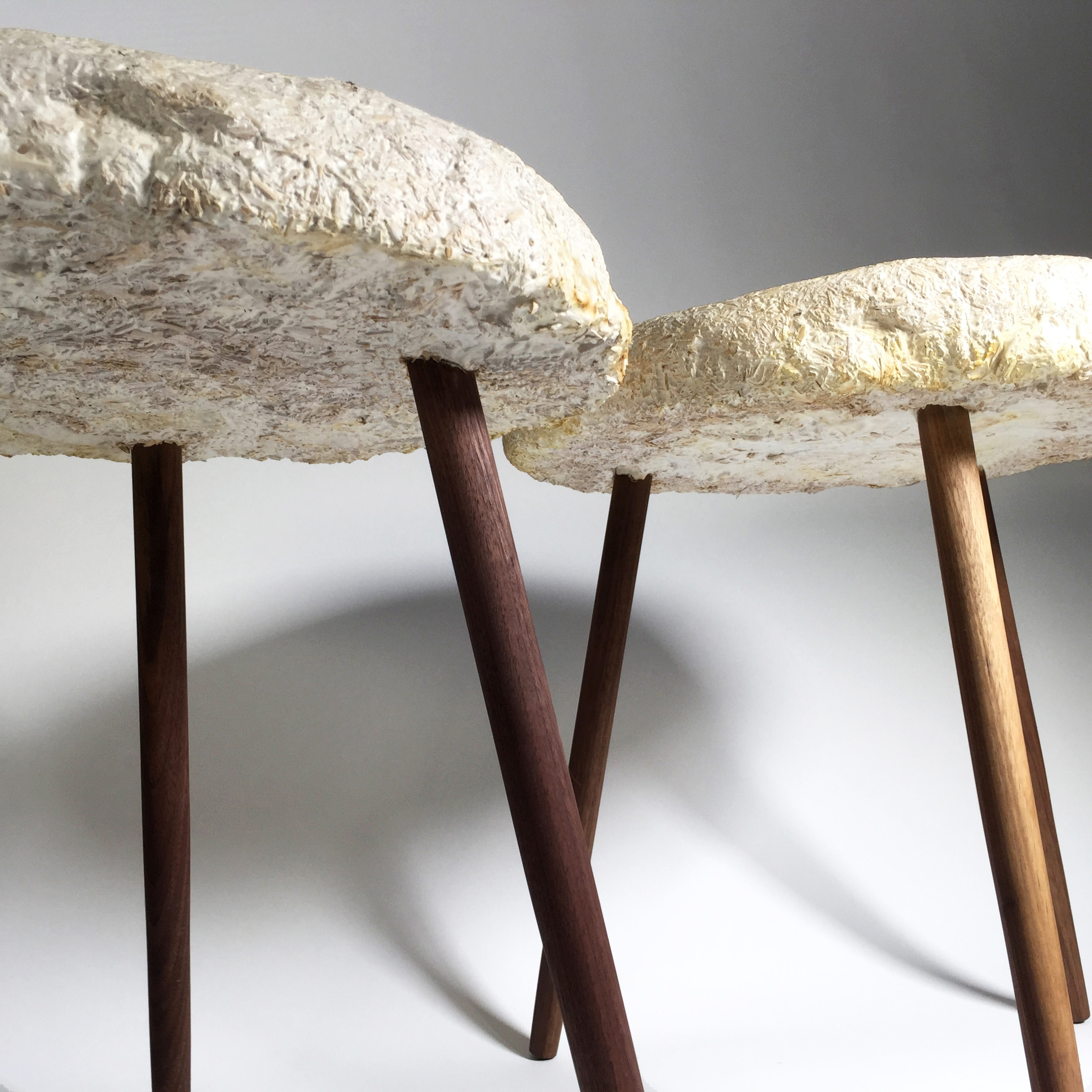 Mycelium Stool - Harvard Graduate School of Design