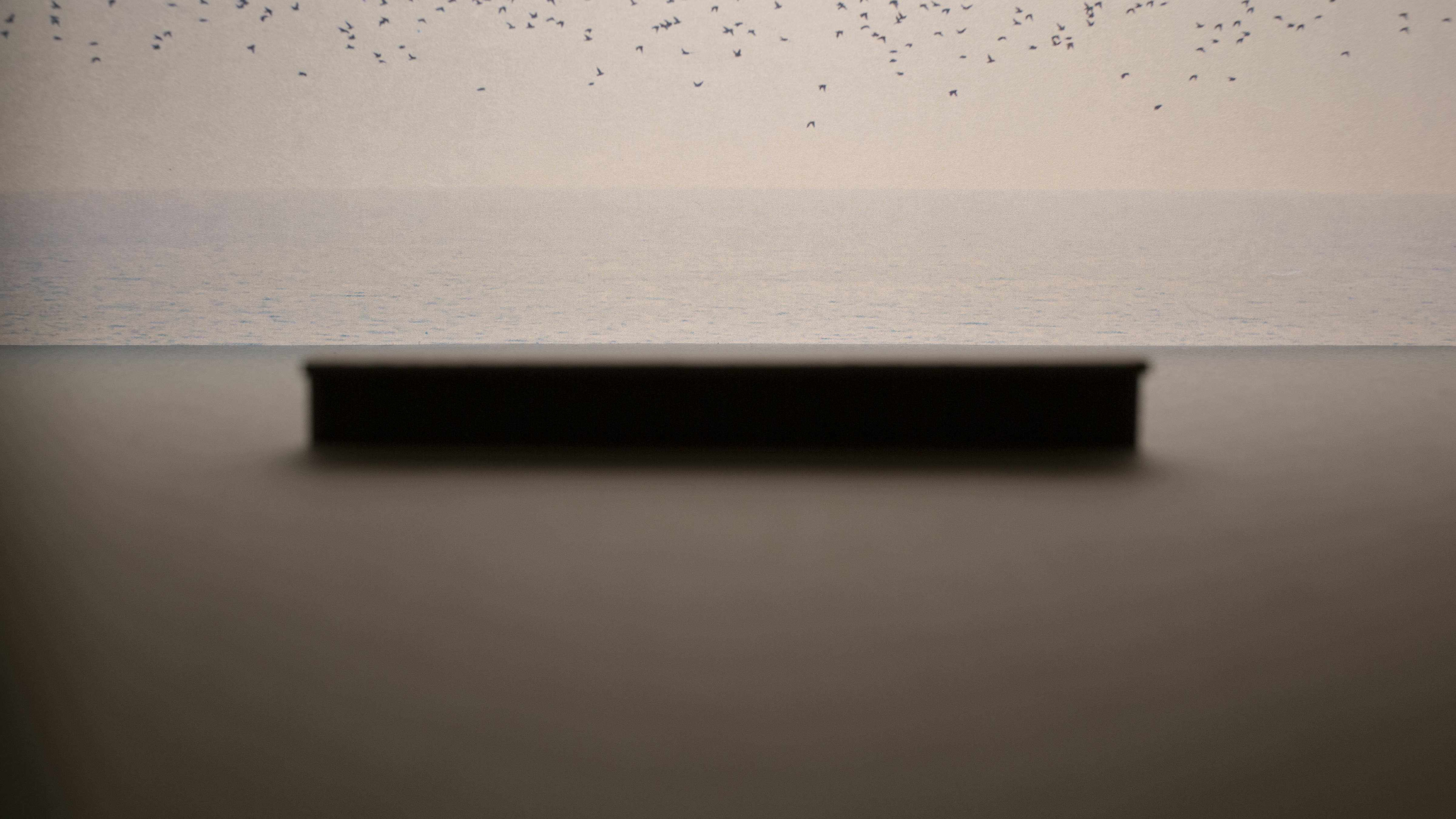 surreal image with birds flying over a table