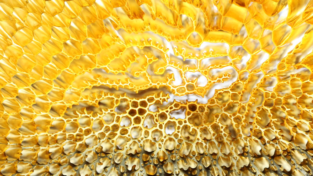 Abstract close up of organic labyrinthine ridges