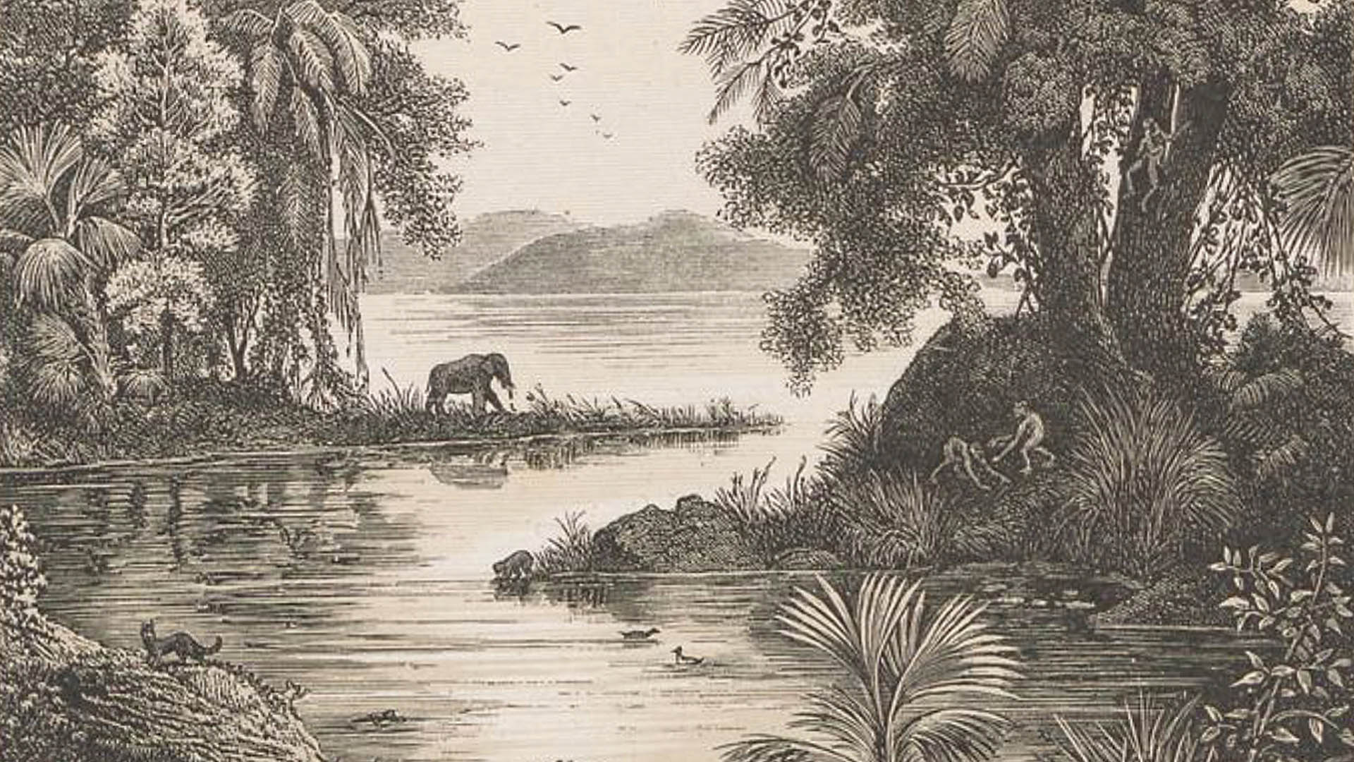 Anita Berrizbeitia Harvard Graduate School of Design