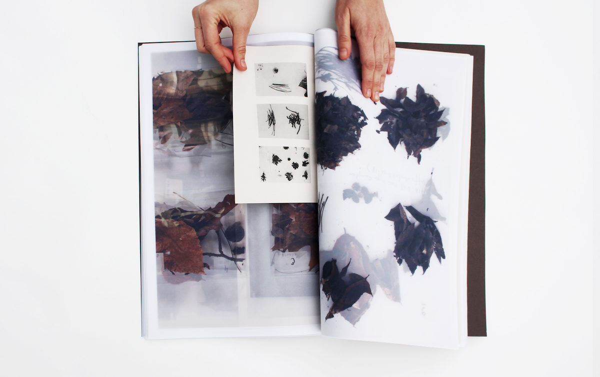 hands opening a book with plant specimens inside