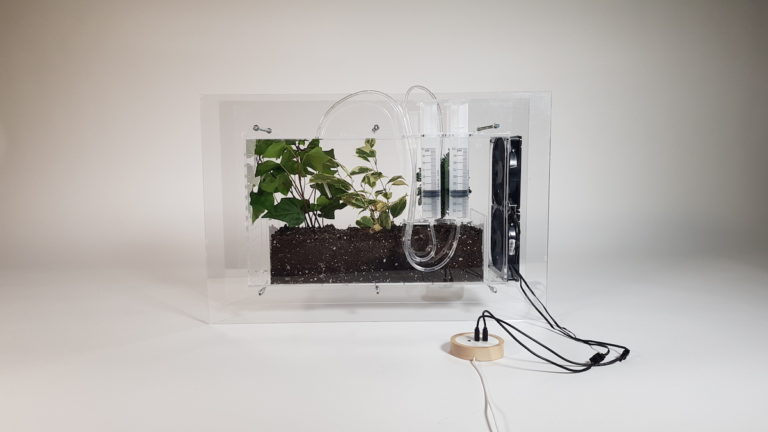 Environment Project Machine Ecological Machines - Harvard Graduate School of Design