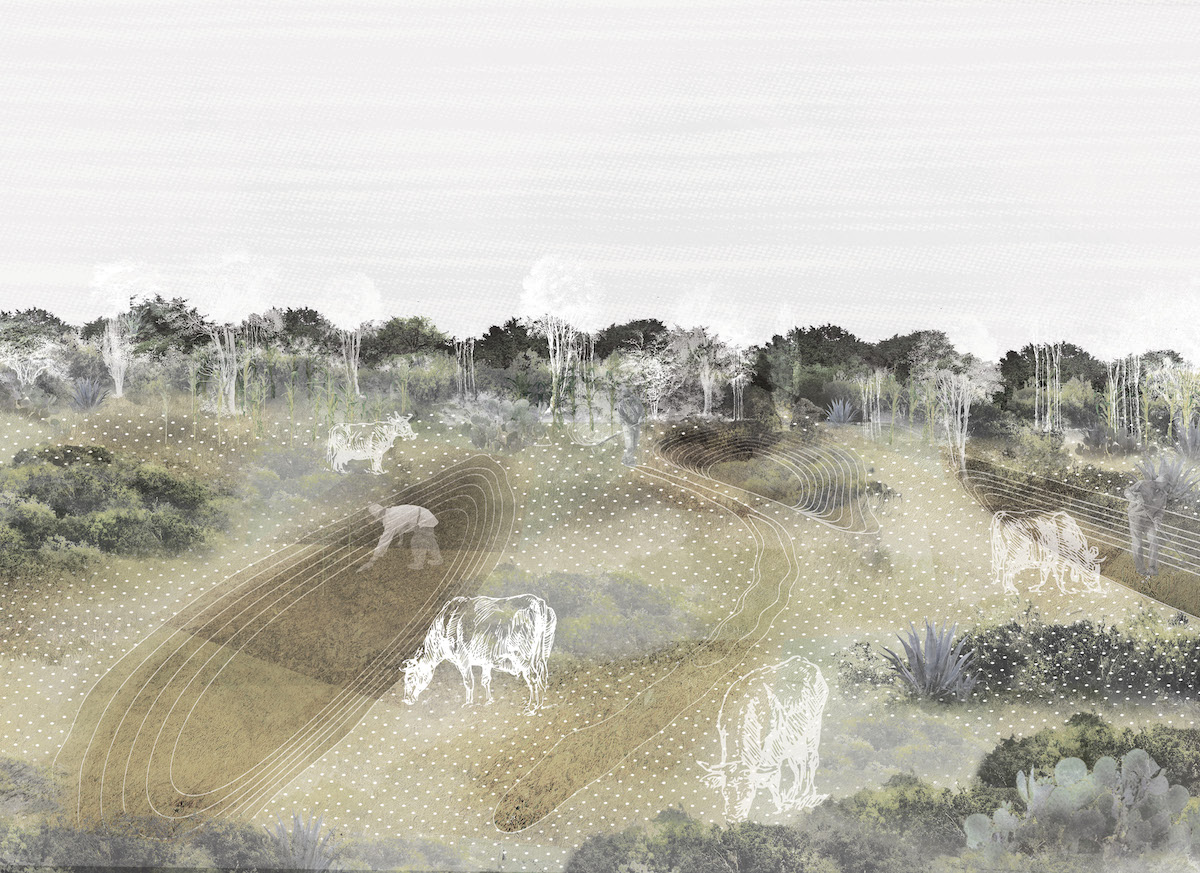 Rendering showing cows grazing