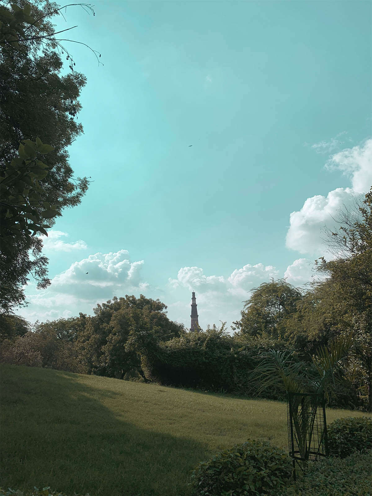 Mehrauli Archaeological Park with Qutub Minar in the background