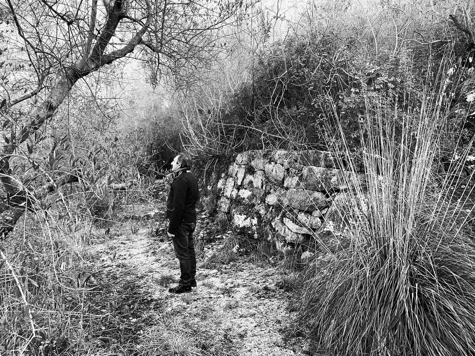 Luciano Buraglia from Coop. La Carboncella amidst abandoned terraced olive groves in Vallecorsa