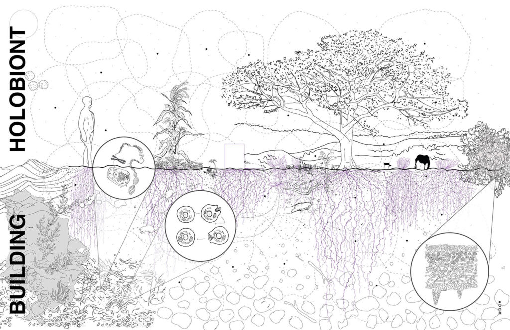 Diagram showing comparison of the natural interactions of food systems, specifically the Three Sisters (corn, bean, squash), with the built environment today