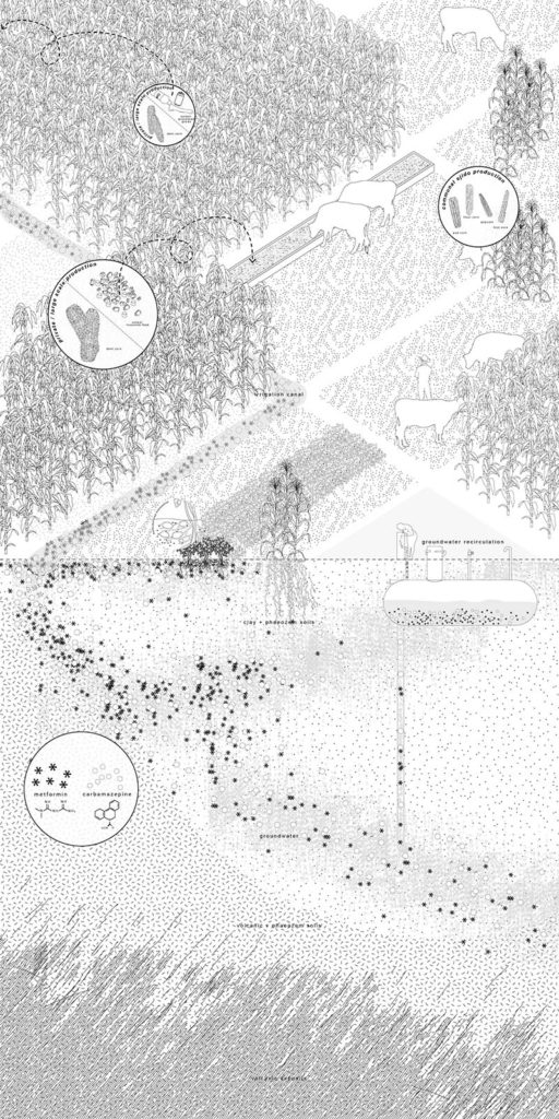 Image of soils of the Missing Chemosphere. Drawing by Lu Dai, Haoyu Zhao, and Seth Denizen