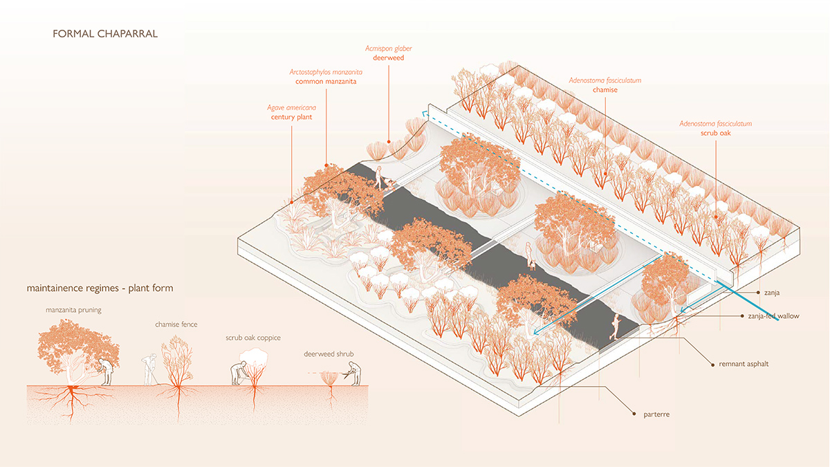 Axonometric showing formal chaparral