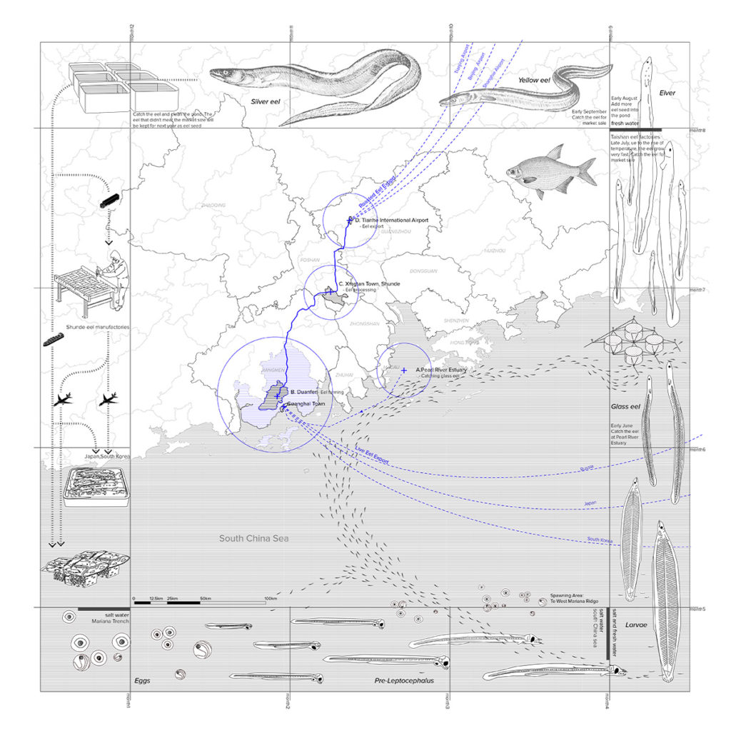 Drawing of Regional Map