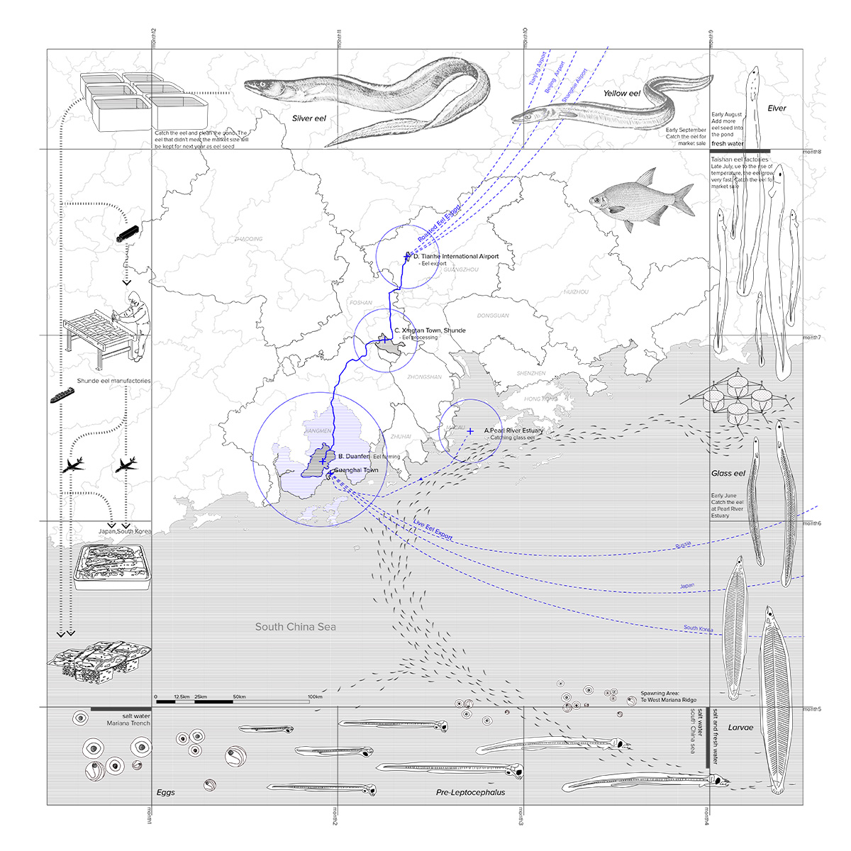 Drawing of Regional Map