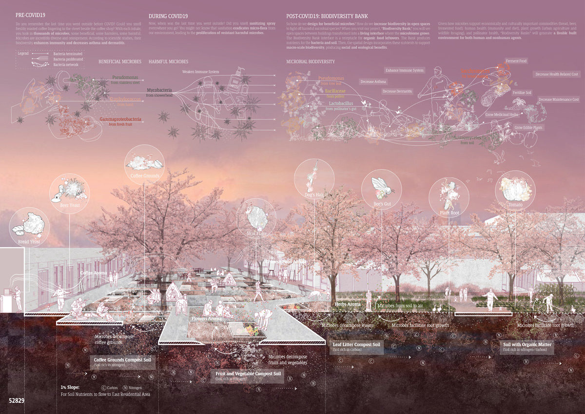 Sectional image of Li and Li project proposal