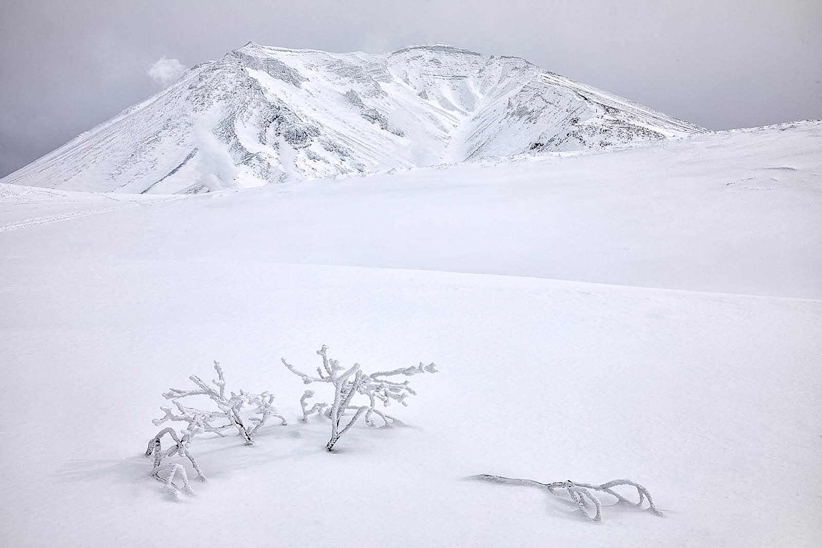 Snowy image of Mt. Asahi