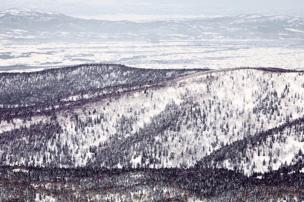 Landscape image of trees sprawled onto of Mt. Asahi