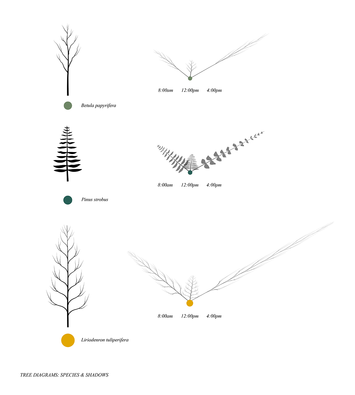 Tree diagram