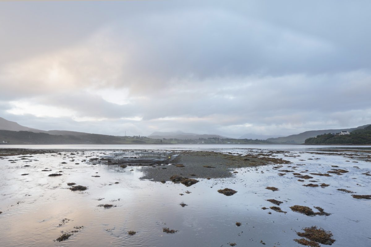 body of water at low tide.