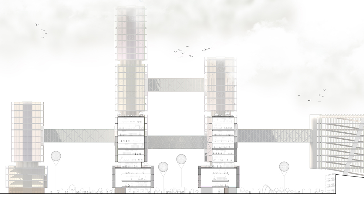 Section drawing