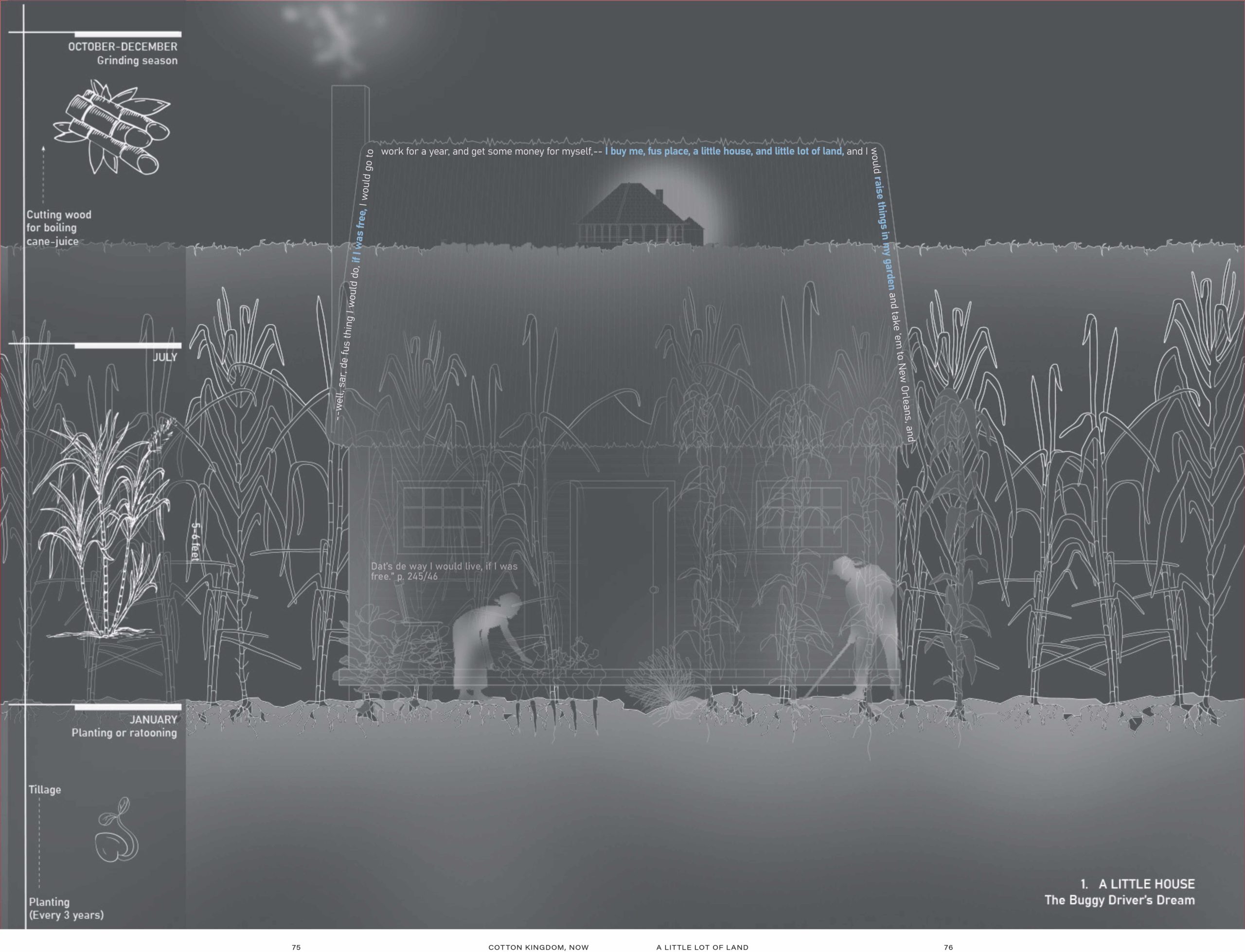 Dark white on dark gray image diagramming plantation farming