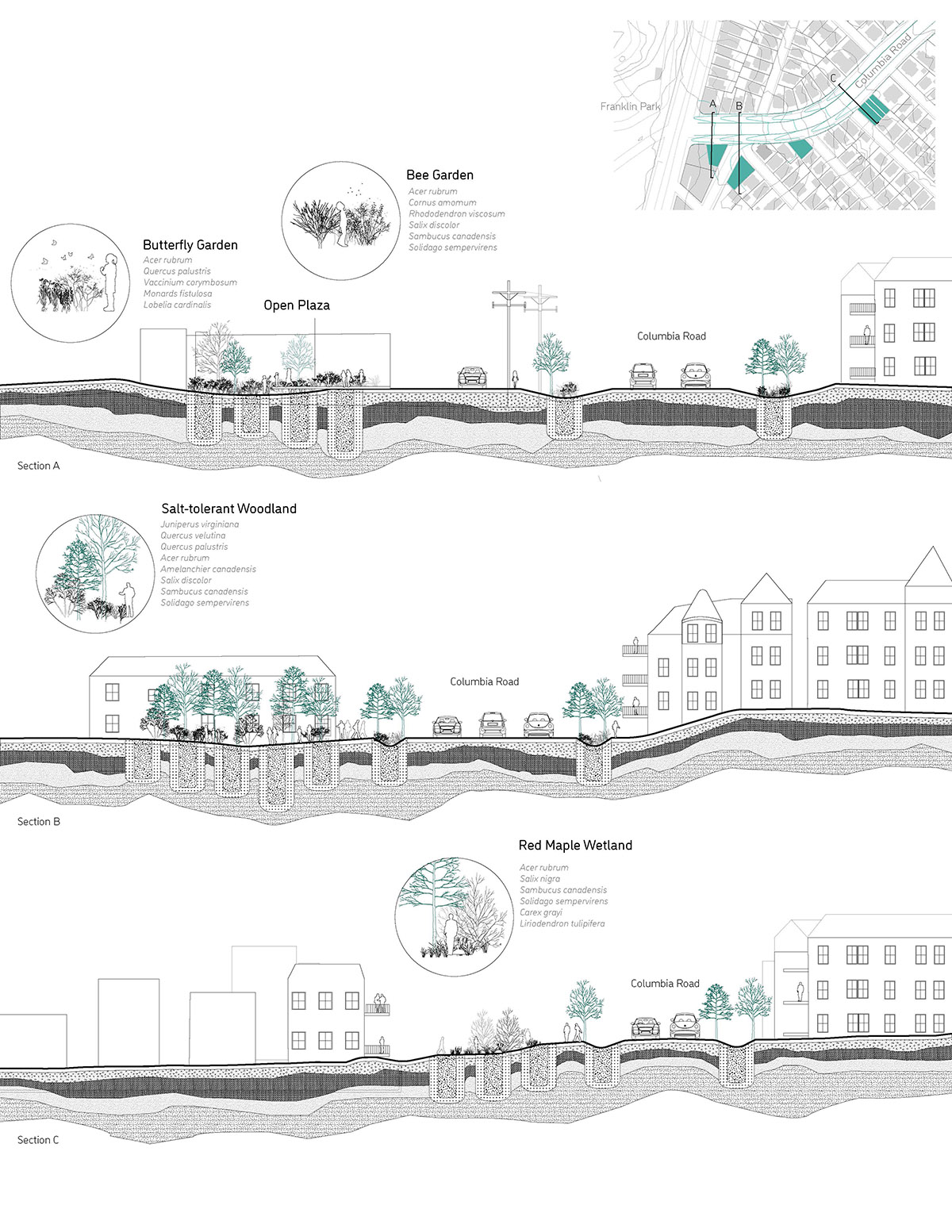 Boston sections