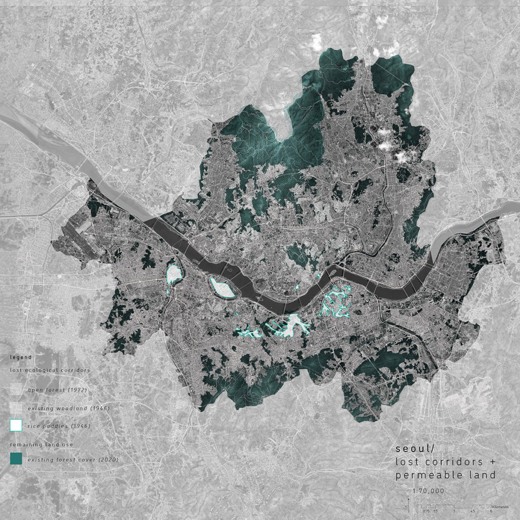 Site plan and map