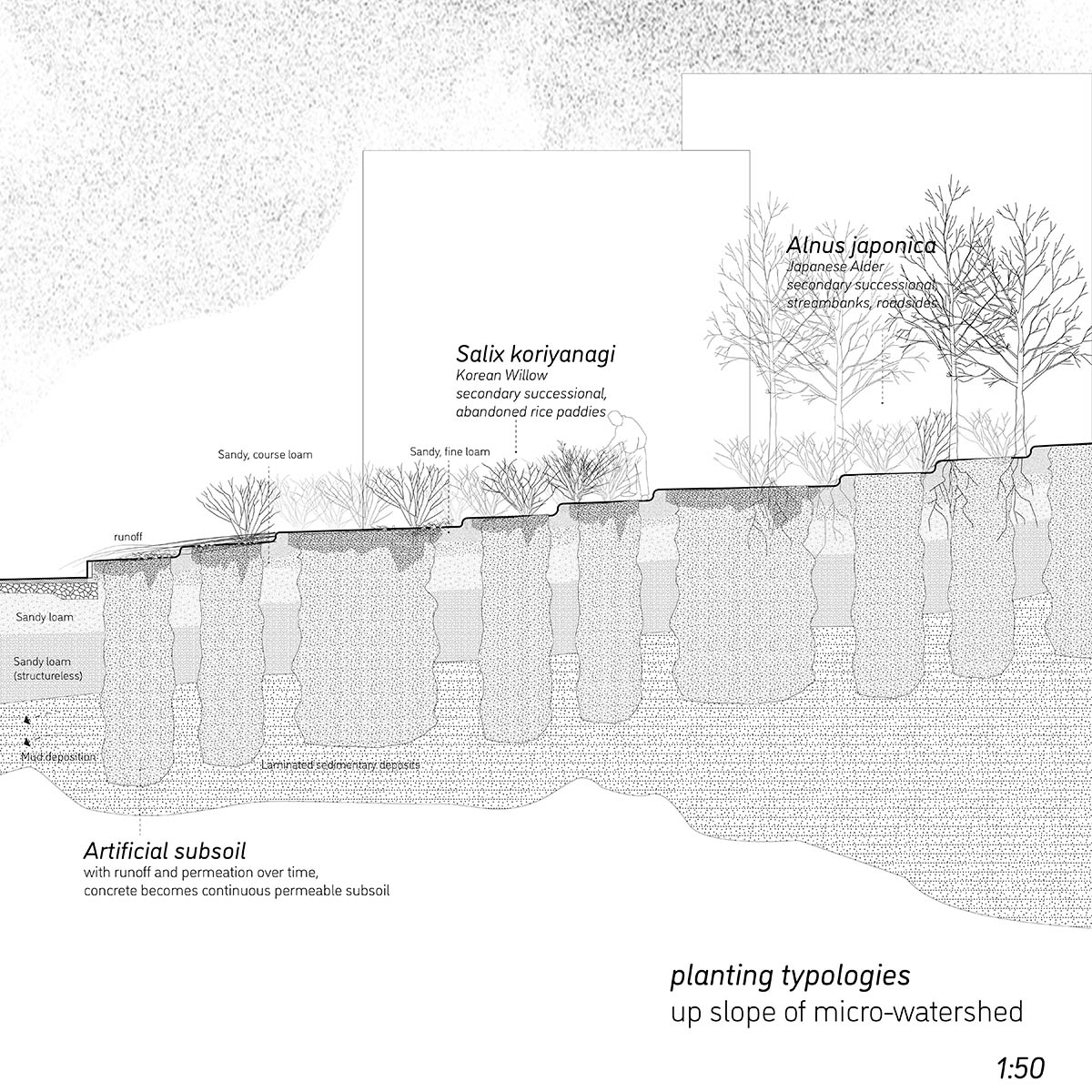 Section diagram showing planting typologies