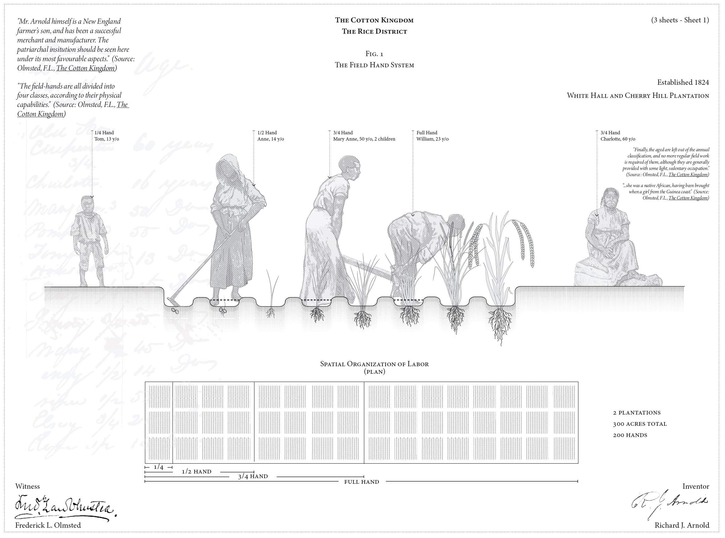 Black and white line drawing showing the process of the field hand system