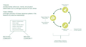 Diagram explaining trauma, which is defined as the prolonged exposure to stress without the tools to protect or eliminate the source of stress. The tools to break the cycle of toxic stress are: reduce the source of stress, support responsive relationships, and strengthen core life skills.