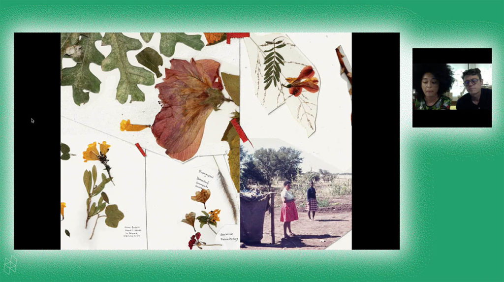 Screenshot of a virtual event. Ilze and Heinrich Wolff appear together in a small square on the right. A larger rectangle shows their PowerPoint presentation, which shows images of dried flowers and some people outdoors. Ilze and Heinrich Wolff and the PowerPoint are surrounded by a green background.