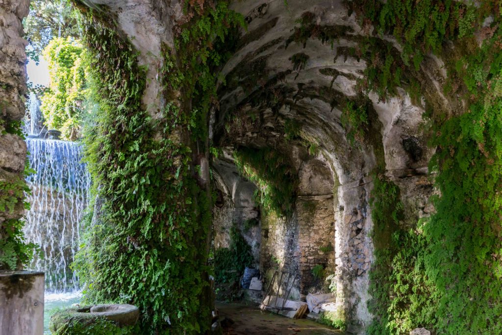 Image of stone archway with greenery growing naturally at its facade