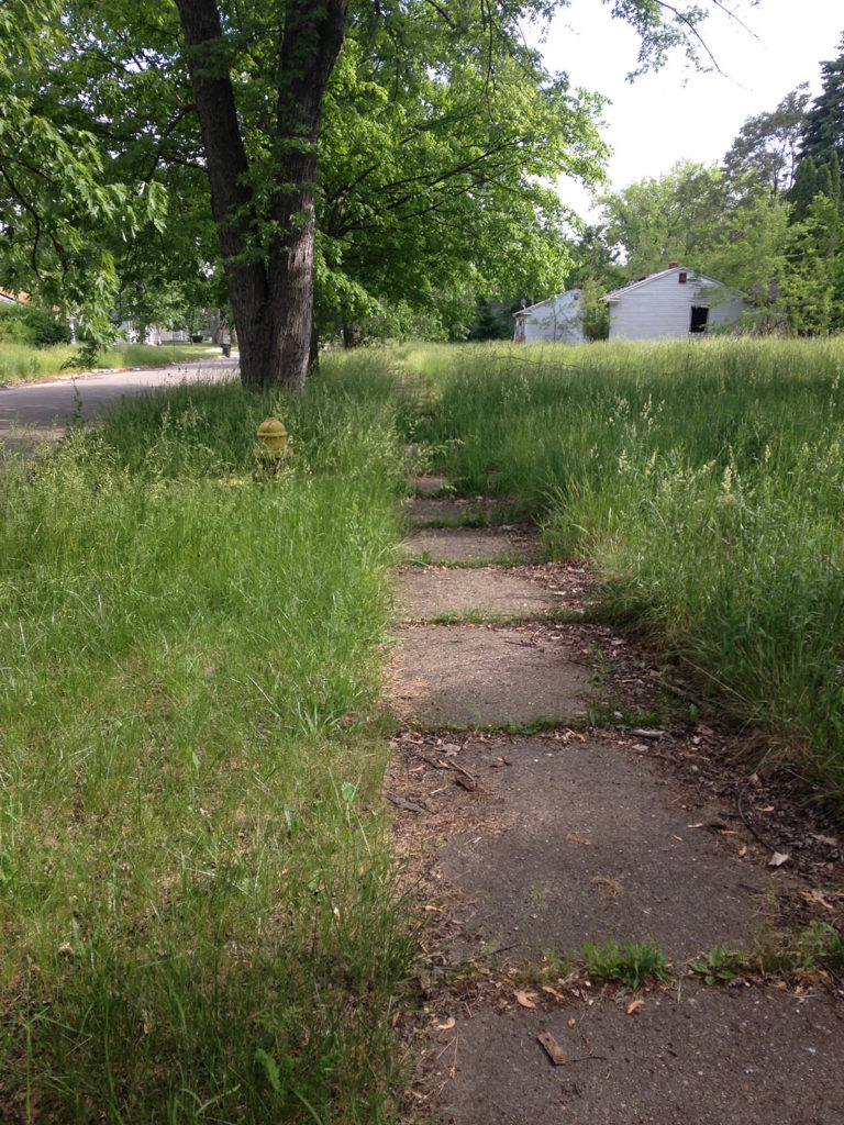 Tall grass overtakes sidewalks, city strips, and fire hydrants during Detroit summers